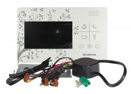 LILU LE Лес Фото