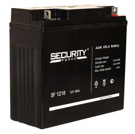 SF 1218 Аккумулятор Фото