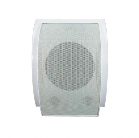 TSo-SW10bF Оповещатель речевой со встроенным трансформатором Фото