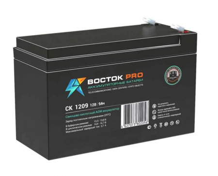 Восток СК 1209 Аккумулятор герметичный свинцово-кислотный Фото