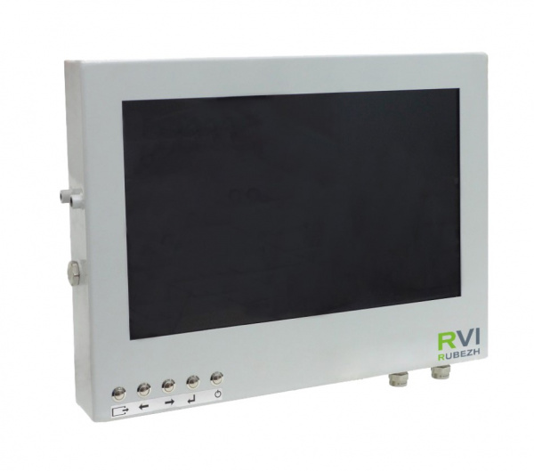 RVi-4ETM-M.S1A-24/H/LT Взрывозащищенный монитор Фото