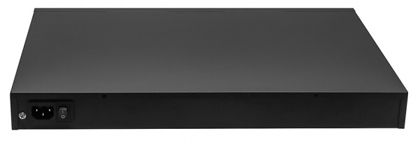 NS-SW-48F2G-P PoE коммутатор Фото