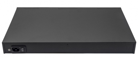 NS-SW-24F2G-P PoE коммутатор Фото