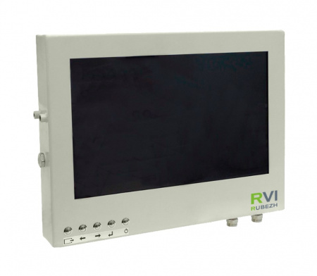 RVi-4ETM-H.S1A-24/H/LT Взрывозащищенный монитор Фото